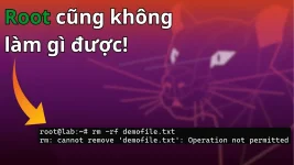 chattr - Câu lệnh Linux cực kỳ mạnh mẽ mà có thể bạn chưa dùng bao giờ